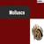 Phylum Mollusca: Definition, Characteristics, Classification, Exampales